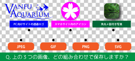 Web用の保存形式 きちんと使い分けてますか バンフートレーニングスクール スタッフ ブログ